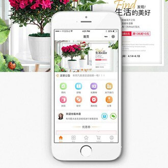 印江县门店微商城小程序开发