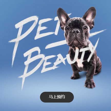 印江县宠物中心小程序开发