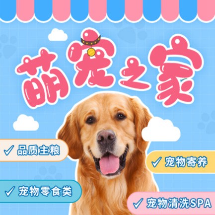 印江县萌宠之家小程序开发